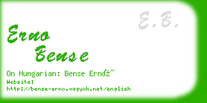 erno bense business card